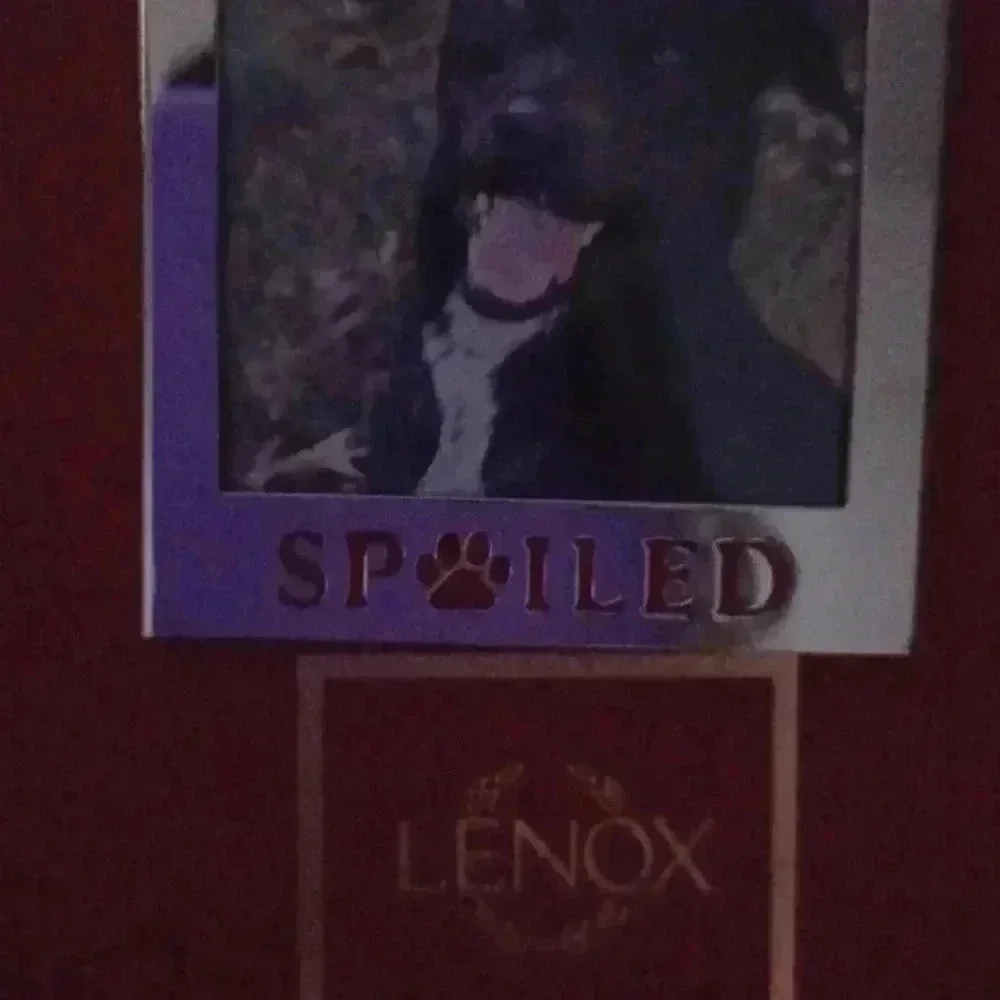 > Lenox picture frame 3.48
